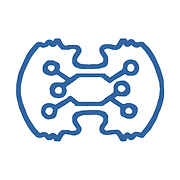 BrainCapture